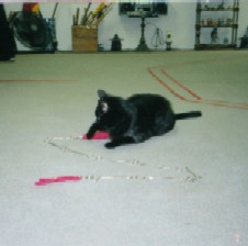 Pao Ying with a Nine-Sectional Steel Whip